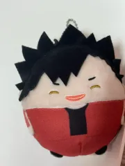 ハイキュー 黒尾 鉄朗 ふわコロりん