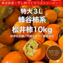 【蜂屋柿系 松井柿】干し柿用大玉 3Lサイズ（40個前後）在来渋柿／岐阜産／完熟手取り・農家直送（送料込み）箱込10kg以内