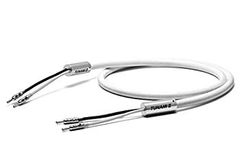 Item thumbnail for item deb003ed-b0e4-4af5-92c8-2e1e75dd0cba