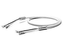 Item thumbnail for item ad665afd-aa67-49a8-8ed2-2baa4852595c