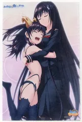 【中古】タオル・手ぬぐい(キャラクター) 和香＆琉々葉 オリジナルマイクロファイバークロス 「PCソフト 和香様の座する世界」 ソフマップ予約特典