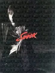 EndlessShockパンフレットなど15セット 2026年最新】Yahoo