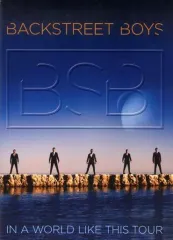 【中古】パンフレット ≪パンフレット(ライブ)≫ パンフ)BACKSTREET BOYS IN A WORLD LIKE THIS TOUR
