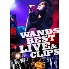 新品未読誌】WANDS 最新号を含む 2026年 2冊セット - メルカリ