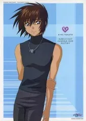 2025年最新】ポスター ガンダムseed destinyの人気アイテム - メルカリ