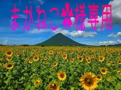 まかねこ✿様専用