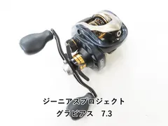 2025年最新】グラビアス リールの人気アイテム - メルカリ