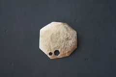 polygon 真鍮ブローチ ◼pivo◼2454