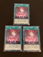 2026年最新】禁じられた聖冠の人気アイテム - メルカリ