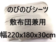 Item thumbnail for item 2d39ffb9-3193-4c02-b82e-9d6690ad1805