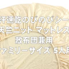 Item thumbnail for item b7b5871e-ed17-4a60-b2b9-6ccb159e8e83