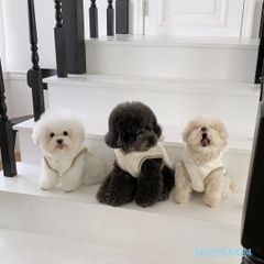 Item thumbnail for item 51504e06-5bb4-4041-9f57-232e14d709ec