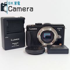 【中古】 Panasonic LUMIX GX1 DMC-GX1 ミラーレスデジタルカメラ パナソニック ルミックス 充電器付 美品