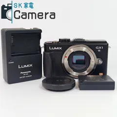 2025年最新】lumix gx1の人気アイテム - メルカリ