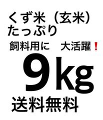 Item thumbnail for item b30426a3-27a5-4618-99c3-1a4080613db8