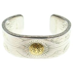 Item thumbnail for item 226a69fa-1015-46c5-b82f-61aa15725d9f