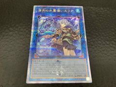 遊戯王 清冽の水霊使いエリア クオシク - メルカリ