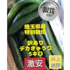【激安】5キロ弱！リピーター多数！デカきゅうり！　野菜ソムリエサミット銀賞受賞　農家直送　減農薬　有機肥料　訳あり 5kg 5ｷ