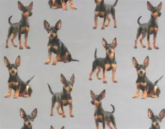 【ゆきちゃん限定】X2516 トイマンチェスターテリア グレー 生地 1m