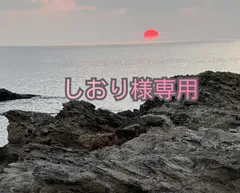 専用です。しおり様