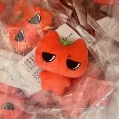 2025年最新】BOYNEXTDOOR ぬいぐるみ テサンの人気アイテム - メルカリ