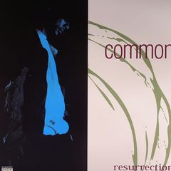 ☆1stプレスUSオリジナル盤 Common Sense - メルカリ