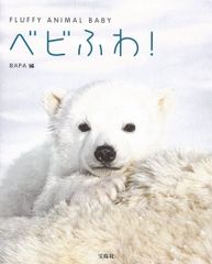 男鹿水族館GAO ホッキョクグマ・しろくまフブキ写真集 両面ポスター