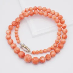 2025年最新】沖縄珊瑚 ネックレスの人気アイテム - メルカリ