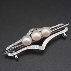 Item thumbnail for item 75a5aebc-eae3-457d-84a0-912b44f7c19e