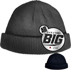 Item thumbnail for item bfaecf9e-2409-4805-a5dd-d30e4ab9ad4d