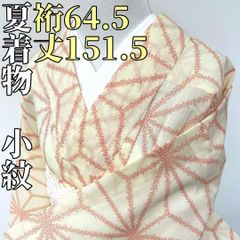 MINNIE様専用です❣️ 【着物と帯 時流】ヒ25624s◇正絹 単衣◇付下げ