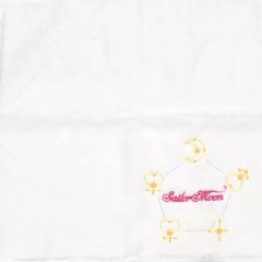 [중고] 수건·수건(캐릭터) 5 전사 핸드 타월 [미소녀 전사 세일러 문×TeNQ 기획전 Over the Sailor Moon ~우주에의 초대~]