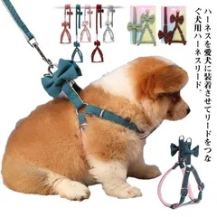 小型犬 おしゃれ リード 胴輪 バックル留具2つ付き ソフトハーネス 外れ防止 ハーネス 脱げない 中型犬 リボン 可愛い 着脱簡単 2点セット イヌ用 ネコ用 ペット用 ハーネスリード hP9F811
