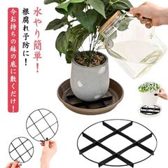 カフェイン中毒様専用 ビカクシダ育成専用コップ 3個 - メルカリ