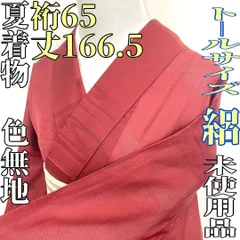 【着物と帯 時流】SK25812s◆正絹 夏着物 色無地◆トールサイズ 絽 通紋