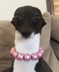 こちらです。こちらです。