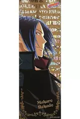 【中古】ポスター(アニメ) 六道骸(ゴールドVer.) 「家庭教師ヒットマンREBORN! キャラポスコレクション4」