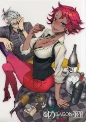 【中古】ポスター（アニメ） [単品] トリックスター 描き下ろしA3クリアポスター 「PSPソフト セブンスドラゴン2020 DXパック」 同梱品