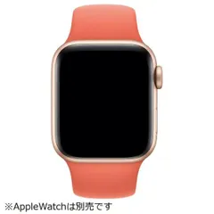 新品未開封品 Apple Watch 38/40/41mm用スポーツベルト【アップル純正正規品】