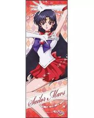 実写版 セーラームーン セーラーマーズ 北川景子 ポスター非売品