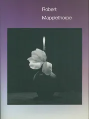2026年最新】robert mapplethorpeの人気アイテム - メルカリ