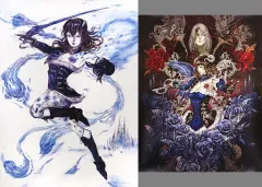 【中古】ポスター ポスター2枚セット 集合 「PS4/Switchソフト Bloodstained:Ritual of the Night」 バッカー特典