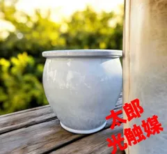 光触媒　人工観葉植物　ウォールグリーン　フェイクグリーン　8寸白ツボ　鉢カバー@@