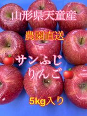 お買い得品🍎山形県産サンふじ🍎5ｷﾛ