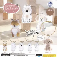 わんこのタイムカプセル ヒロイチ 【全5種セット(フルコンプ)＋ＤＰ台紙おまけ付き】 WANKONO Time Capsule グッズ フィギュア ガチャガチャ カプセルトイ【即納 在庫品】【数量限定】【フルコンプリート】