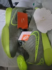 ナイキ レブロン 21