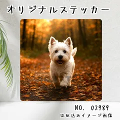 オリジナル防水ステッカー サモエド 紅葉した散歩道とわんこ 秋 写真風 犬 ペット 02989