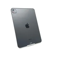 Apple iPad Pro 11インチ 256GB スペースブラック Wi-Fi 美品 動作確認済【全額返金保証】【最速発送】
