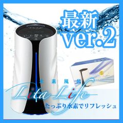 新品 ヘルスウェーブ すややか D.C.Version1 安眠枕 マクラ まくら 枕