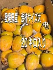 【超お得‼️愛媛県産 渋柿20kg】サイズ大、中 ‼️本日入荷3500円